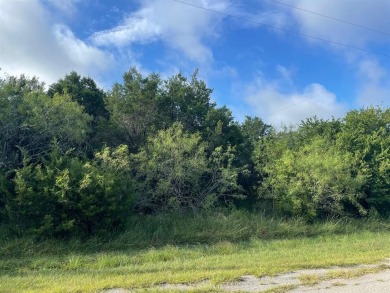 Take a look at this 0.51 acre corner lot in the desirable White on White Bluff Resort - New Course in Texas - for sale on GolfHomes.com, golf home, golf lot