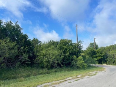 Take a look at this 0.51 acre corner lot in the desirable White on White Bluff Resort - New Course in Texas - for sale on GolfHomes.com, golf home, golf lot