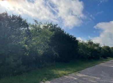 Take a look at this 0.51 acre corner lot in the desirable White on White Bluff Resort - New Course in Texas - for sale on GolfHomes.com, golf home, golf lot