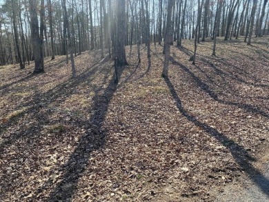 Discover the perfect spot to build your dream home on this on Diamondhead Golf and Country Club in Arkansas - for sale on GolfHomes.com, golf home, golf lot