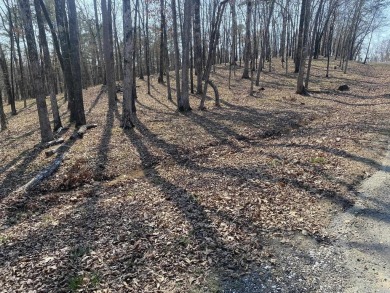 Discover the perfect spot to build your dream home on this on Diamondhead Golf and Country Club in Arkansas - for sale on GolfHomes.com, golf home, golf lot