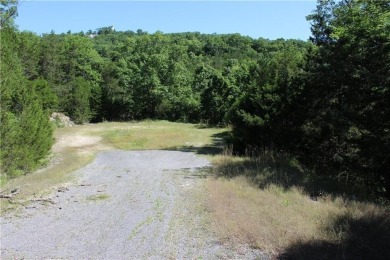Don't miss out on this opportunity! Once cleared, this lot is on Holiday Island Executive Golf Course in Arkansas - for sale on GolfHomes.com, golf home, golf lot