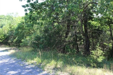 Don't miss out on this opportunity! Once cleared, this lot is on Holiday Island Executive Golf Course in Arkansas - for sale on GolfHomes.com, golf home, golf lot