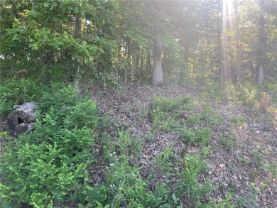 Nice buildable lot close to Branchwood Recreation Center on Bella Vista Country Club - Highlands in Arkansas - for sale on GolfHomes.com, golf home, golf lot