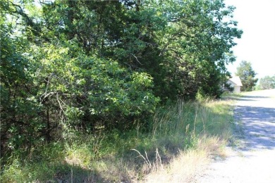 Don't miss out on this opportunity! Once cleared, this lot is on Holiday Island Executive Golf Course in Arkansas - for sale on GolfHomes.com, golf home, golf lot