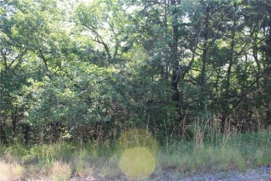 Don't miss out on this opportunity! Once cleared, this lot is on Holiday Island Executive Golf Course in Arkansas - for sale on GolfHomes.com, golf home, golf lot