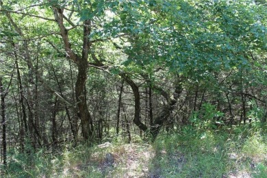 Don't miss out on this opportunity! Once cleared, this lot is on Holiday Island Executive Golf Course in Arkansas - for sale on GolfHomes.com, golf home, golf lot