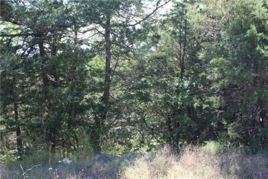 Don't miss out on this opportunity! Once cleared, this lot is on Holiday Island Executive Golf Course in Arkansas - for sale on GolfHomes.com, golf home, golf lot