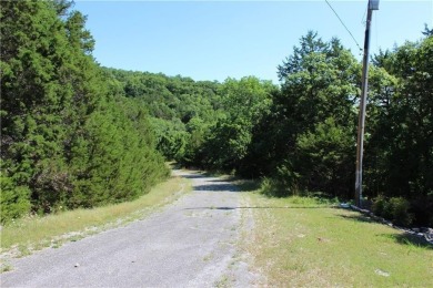 Don't miss out on this opportunity! Once cleared, this lot is on Holiday Island Executive Golf Course in Arkansas - for sale on GolfHomes.com, golf home, golf lot