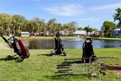 Incredible price reduction! Enjoy this 2 bedroom/2 bath condo on Pelican Pointe 9 Hole Course in Florida - for sale on GolfHomes.com, golf home, golf lot