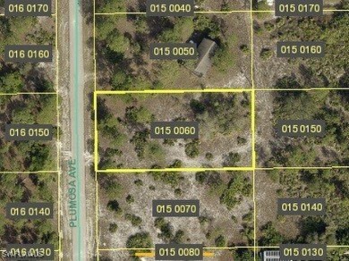 BUILDERS! INVESTORS! Discover the potential of this 1/2 acre on Lehigh Resort Club in Florida - for sale on GolfHomes.com, golf home, golf lot