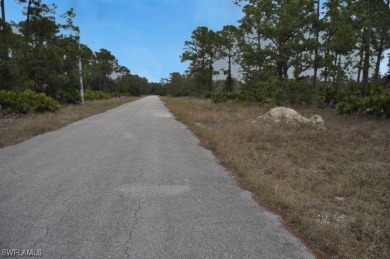 BUILDERS! INVESTORS! Discover the potential of this 1/2 acre on Lehigh Resort Club in Florida - for sale on GolfHomes.com, golf home, golf lot