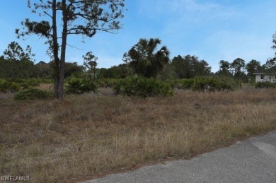 BUILDERS! INVESTORS! Discover the potential of this 1/2 acre on Lehigh Resort Club in Florida - for sale on GolfHomes.com, golf home, golf lot