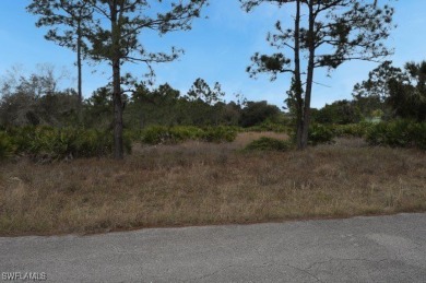 BUILDERS! INVESTORS! Discover the potential of this 1/2 acre on Lehigh Resort Club in Florida - for sale on GolfHomes.com, golf home, golf lot