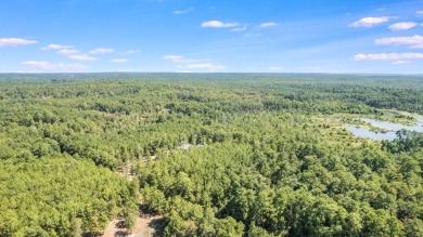 Expansive and Serene, this 3.38 acres of vacant land in Rayburn on Rayburn Country Club in Texas - for sale on GolfHomes.com, golf home, golf lot