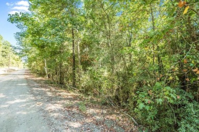 Expansive and Serene, this 3.38 acres of vacant land in Rayburn on Rayburn Country Club in Texas - for sale on GolfHomes.com, golf home, golf lot