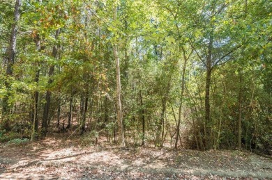 Expansive and Serene, this 3.38 acres of vacant land in Rayburn on Rayburn Country Club in Texas - for sale on GolfHomes.com, golf home, golf lot