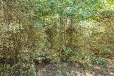 Expansive and Serene, this 3.38 acres of vacant land in Rayburn on Rayburn Country Club in Texas - for sale on GolfHomes.com, golf home, golf lot