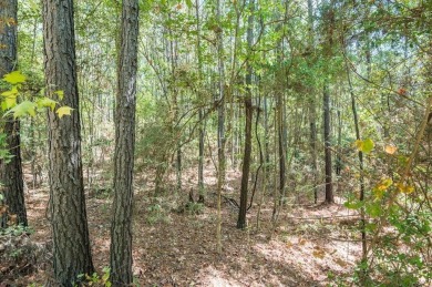 Expansive and Serene, this 3.38 acres of vacant land in Rayburn on Rayburn Country Club in Texas - for sale on GolfHomes.com, golf home, golf lot