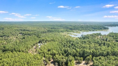 Expansive and Serene, this 3.38 acres of vacant land in Rayburn on Rayburn Country Club in Texas - for sale on GolfHomes.com, golf home, golf lot