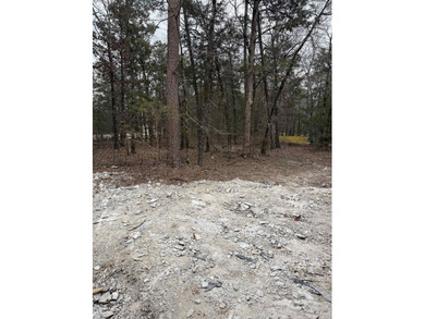 Discover luxury in this new construction home nestled in the on Magellan Golf Course in Arkansas - for sale on GolfHomes.com, golf home, golf lot