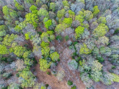 Beautiful Residential Building Lot with Privacy and Scenic on The Club At Viniterra in Virginia - for sale on GolfHomes.com, golf home, golf lot