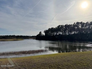 Seize the opportunity to own a rare homesite in the prestigious on Conservatory Course At Hammock Beach Resort in Florida - for sale on GolfHomes.com, golf home, golf lot