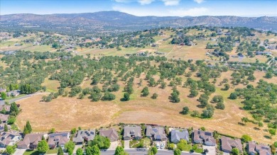 A peaceful setting with distinctive curb appeal!  Pride of on The Club at Copper Valley Golf Course in California - for sale on GolfHomes.com, golf home, golf lot
