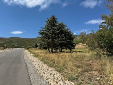 Unbelievable 10.83 Acre panoramic view LOT in Midway!  This lot on Soldier Hollow Golf Course  in Utah - for sale on GolfHomes.com, golf home, golf lot