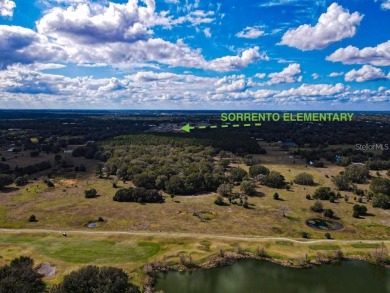 JV / SELLER FINANCING AVAILABLE with 50% down. MULTIPLE USES for on Red Tail Golf Club in Florida - for sale on GolfHomes.com, golf home, golf lot