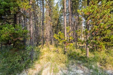 Incredible opportunity to own over an acre just minutes from on Crosswater Club At Sunriver in Oregon - for sale on GolfHomes.com, golf home, golf lot