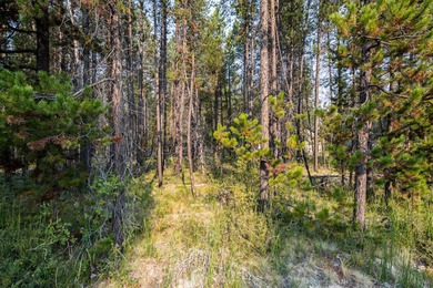 Incredible opportunity to own over an acre just minutes from on Crosswater Club At Sunriver in Oregon - for sale on GolfHomes.com, golf home, golf lot