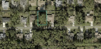 VERY NICE LOT IN LEHIGH WOODS. NEWER HOMES IN THE AREA. BUILD on The Grand Club Cypress Course in Florida - for sale on GolfHomes.com, golf home, golf lot