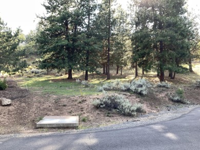 RUNNING Y RESORT  GOLF  COURSE VIEW  SITE!  This is an on Running Y Ranch Resort in Oregon - for sale on GolfHomes.com, golf home, golf lot