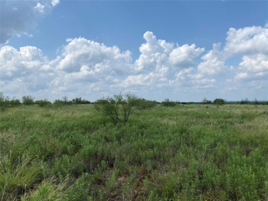 Level and mostly cleared, this large lot,.44 acres is a great on The Cliffs Resort in Texas - for sale on GolfHomes.com, golf home, golf lot