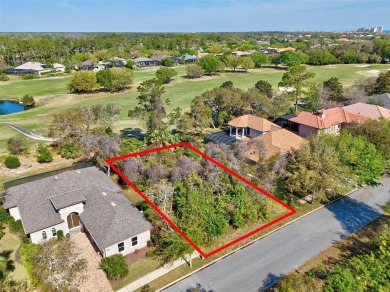 Build Your Dream Golf Course Oasis in Grand Haven!

Dreaming on Grand Haven Golf Club in Florida - for sale on GolfHomes.com, golf home, golf lot