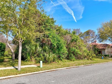 Build Your Dream Golf Course Oasis in Grand Haven!

Dreaming on Grand Haven Golf Club in Florida - for sale on GolfHomes.com, golf home, golf lot