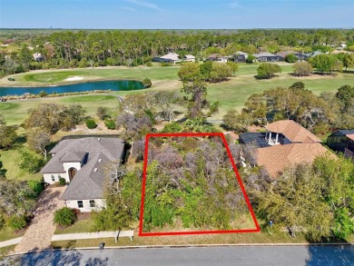 Build Your Dream Golf Course Oasis in Grand Haven!

Dreaming on Grand Haven Golf Club in Florida - for sale on GolfHomes.com, golf home, golf lot