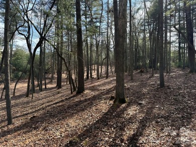 Discover a rare and exceptional opportunity to build your custom on Biltmore Forest Country Club in North Carolina - for sale on GolfHomes.com, golf home, golf lot