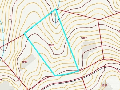 Discover a rare and exceptional opportunity to build your custom on Biltmore Forest Country Club in North Carolina - for sale on GolfHomes.com, golf home, golf lot