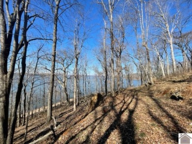 Looking for 2.56 ACRES to build a home? Waterfront on Lake on Mineral Mound Golf Course in Kentucky - for sale on GolfHomes.com, golf home, golf lot