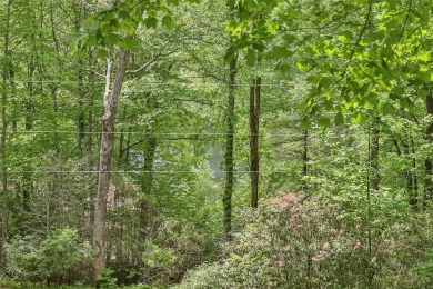 Discover comfort, convenience, and tranquil mountain living at on Sapphire National Golf Club in North Carolina - for sale on GolfHomes.com, golf home, golf lot