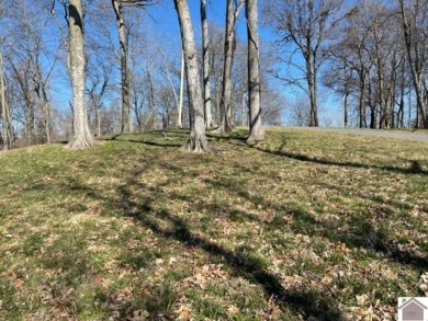Looking for 2.56 ACRES to build a home? Waterfront on Lake on Mineral Mound Golf Course in Kentucky - for sale on GolfHomes.com, golf home, golf lot