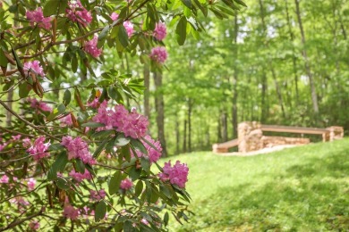 Discover comfort, convenience, and tranquil mountain living at on Sapphire National Golf Club in North Carolina - for sale on GolfHomes.com, golf home, golf lot