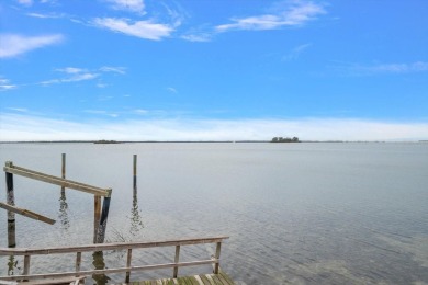 Stunning waterfront views across St Joseph Sound.  Water birds on The Dunedin Country Club in Florida - for sale on GolfHomes.com, golf home, golf lot