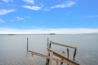 Stunning waterfront views across St Joseph Sound.  Water birds on The Dunedin Country Club in Florida - for sale on GolfHomes.com, golf home, golf lot