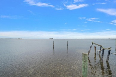 Stunning waterfront views across St Joseph Sound.  Water birds on The Dunedin Country Club in Florida - for sale on GolfHomes.com, golf home, golf lot