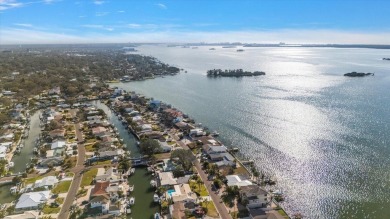 Stunning waterfront views across St Joseph Sound.  Water birds on The Dunedin Country Club in Florida - for sale on GolfHomes.com, golf home, golf lot