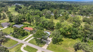 GOLFER'S PARADISE! Fully Remodeled 3 Bed/2 Bath Pool Home on Golden Hills Golf and Turf Club in Florida - for sale on GolfHomes.com, golf home, golf lot