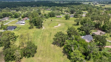 GOLFER'S PARADISE! Fully Remodeled 3 Bed/2 Bath Pool Home on Golden Hills Golf and Turf Club in Florida - for sale on GolfHomes.com, golf home, golf lot